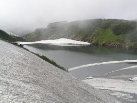 �܂������Ă���~�N���K�r